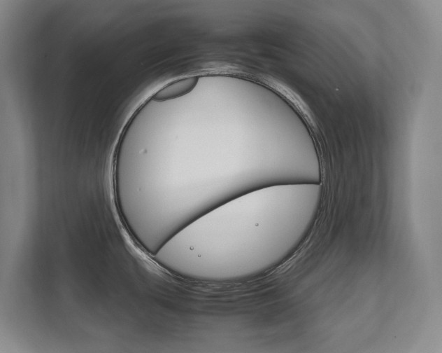 X0000111811439200907231007