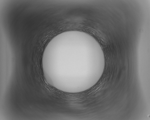 X0000111811441200907231006
