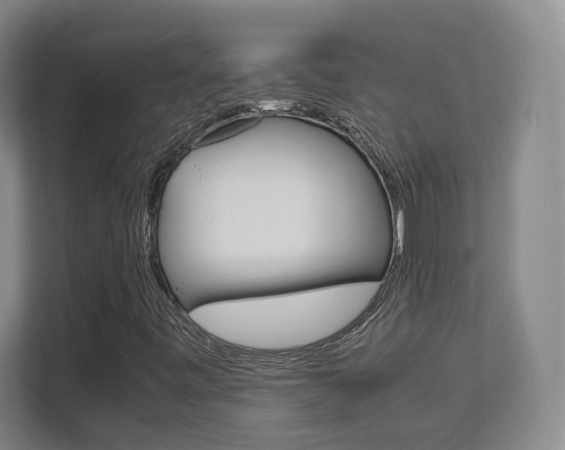 X0000111811443200907231006