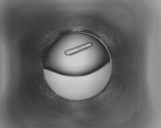 X0000111811444200907231006