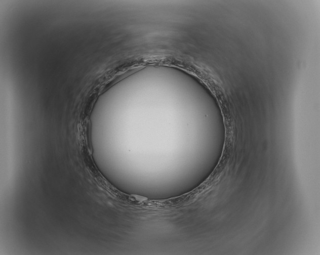 X0000111811445200907231006
