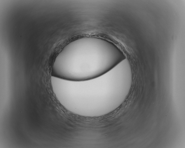 X0000111811447200907231006