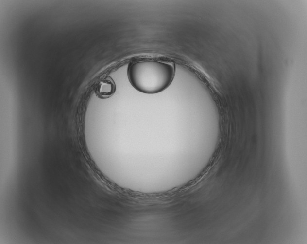 X0000111811448200907231006