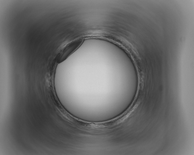 X0000111811449200907231006