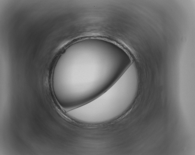 X0000111811452200907231006