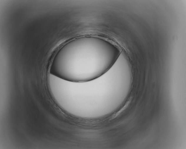 X0000111811453200907231006