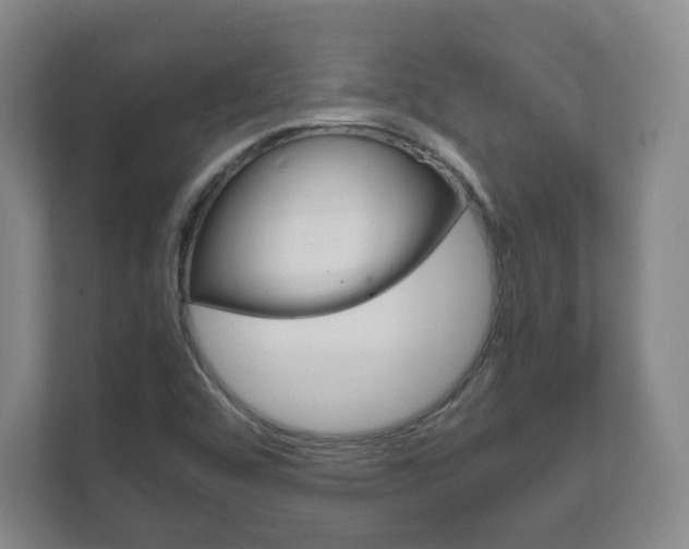 X0000111811456200907231006