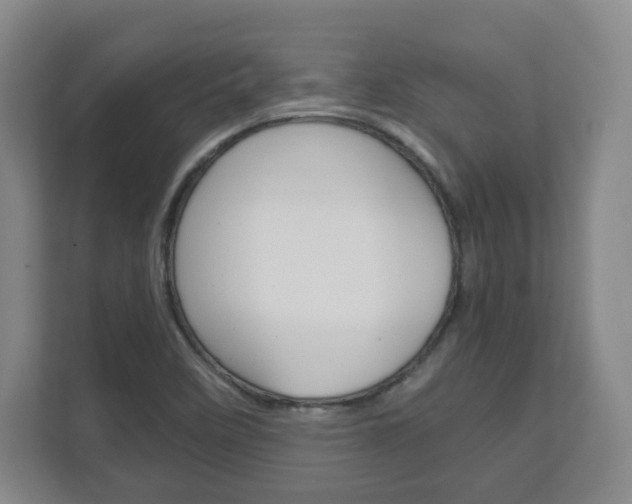 X0000111811458200907231006