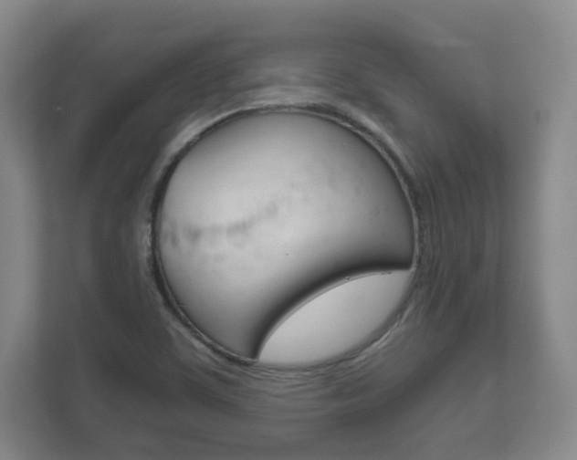X0000111811459200907231006