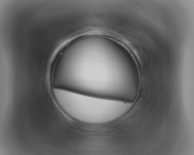 X0000111811464200907231006