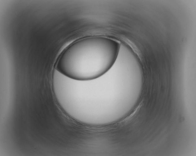X0000111811465200907231006