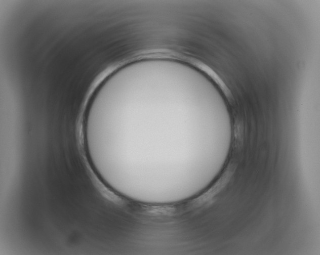 X0000111811466200907231006