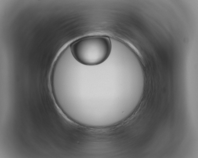 X0000111811468200907231006
