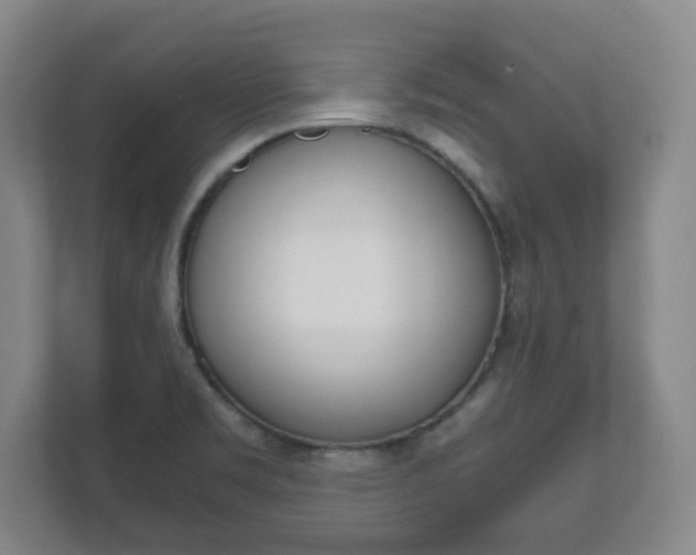 X0000111811469200907231006