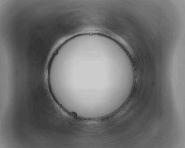 X0000111811472200907231006