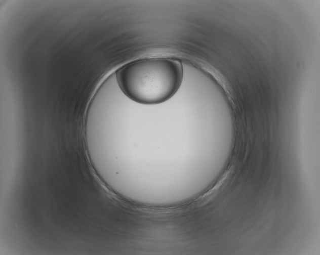 X0000111811473200907231006