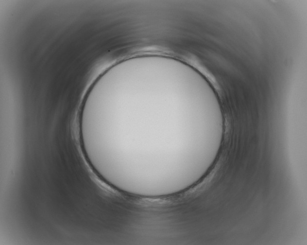 X0000111811474200907231006