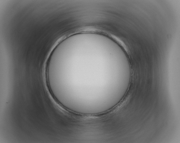 X0000111811475200907231006