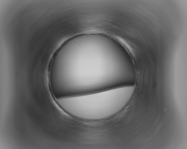 X0000111811476200907231005