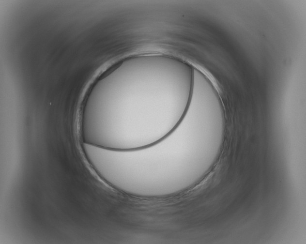 X0000111811477200907231005