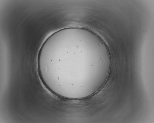 X0000111811479200907231005