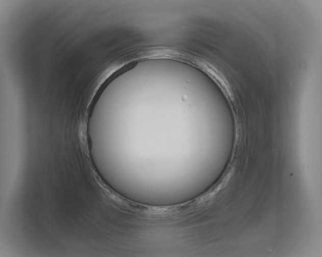 X0000111811481200907231005