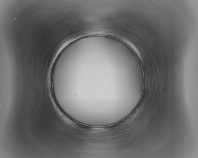 X0000111811483200907231005