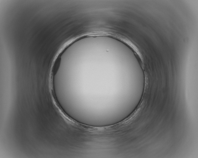 X0000111811485200907231005