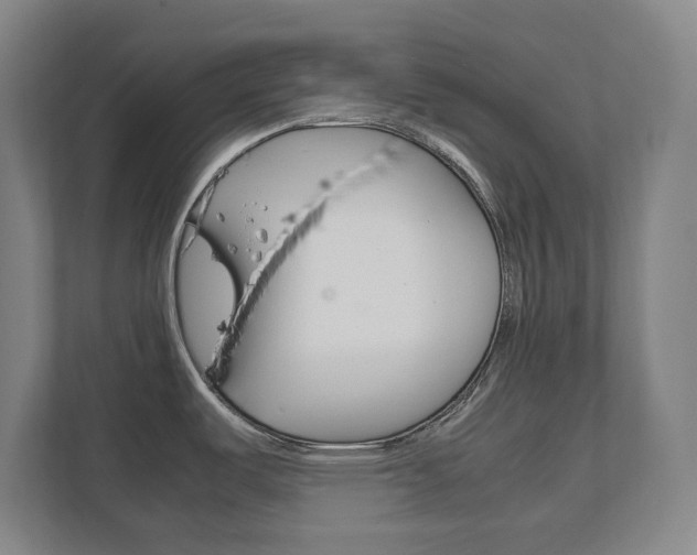 X0000111811487200907231005