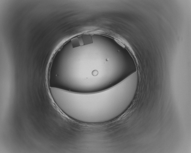 X0000111811488200907231005