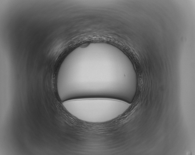 X0000111811490200907231005