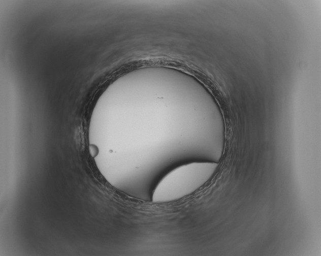 X0000111811493200907231005