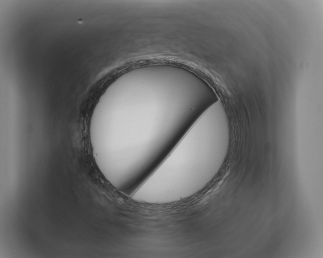 X0000111811494200907231005
