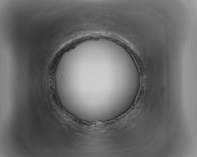 X0000111811496200907231005