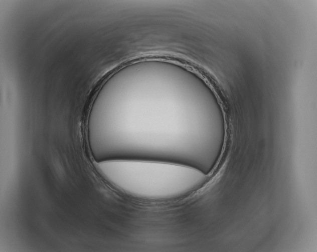 X0000111811497200907231005