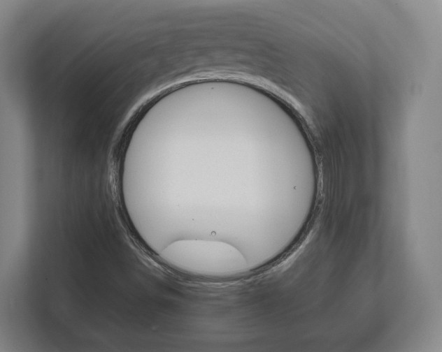 X0000111811498200907231005