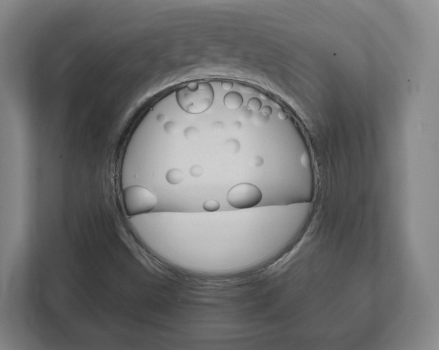X0000111811499200907231005