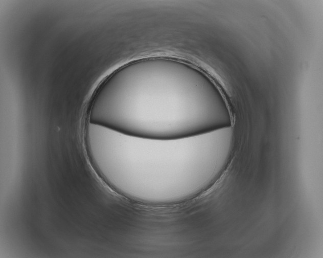 X0000111811500200907231005