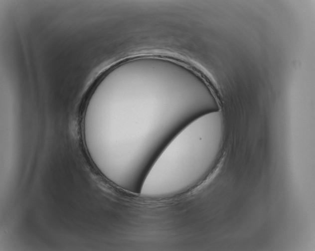X0000111811501200907231005