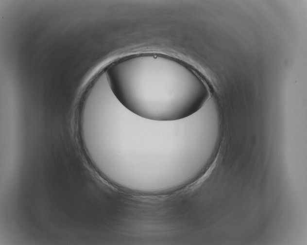X0000111811502200907231005