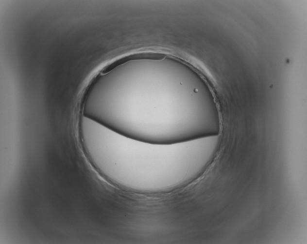 X0000111811504200907231005
