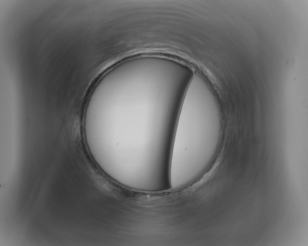 X0000111811505200907231005