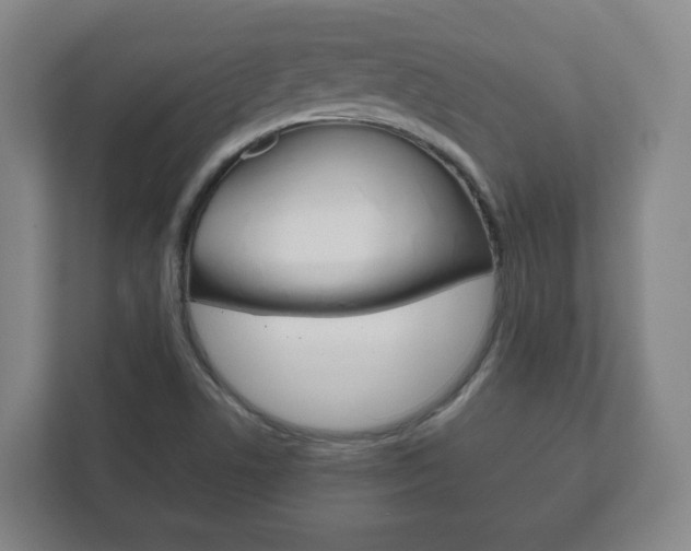 X0000111811506200907231005