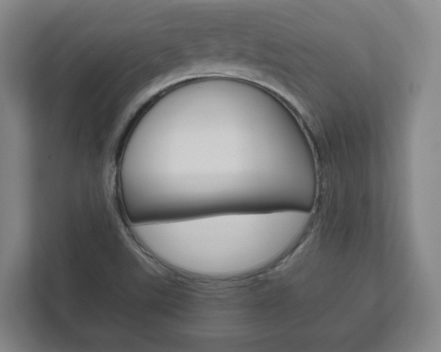 X0000111811507200907231005
