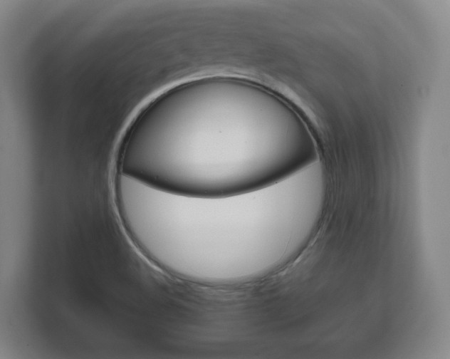 X0000111811508200907231005