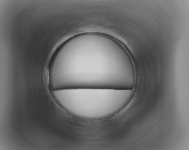 X0000111811509200907231005