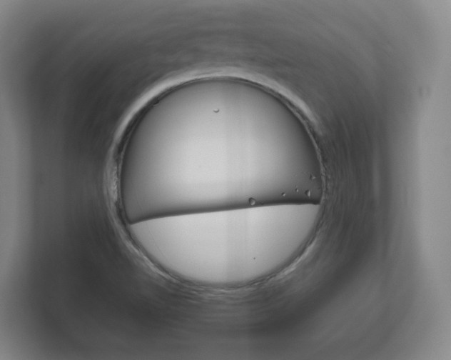X0000111811510200907231005