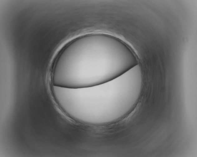 X0000111811511200907231005
