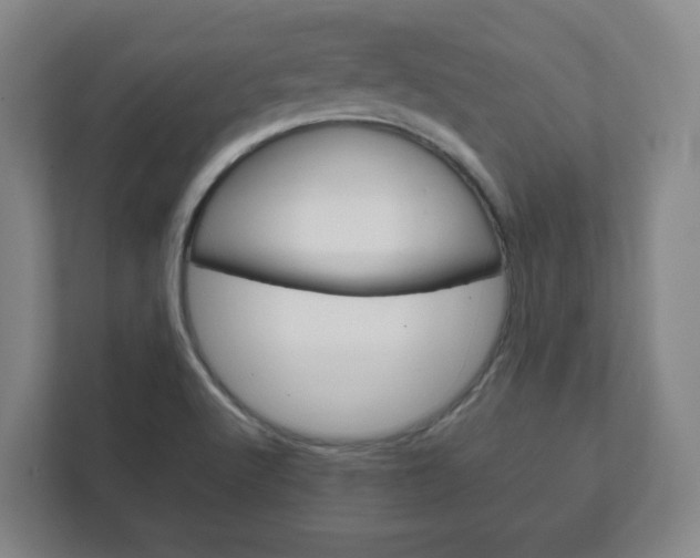 X0000111811512200907231005