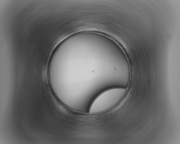 X0000111811513200907231005